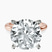 Pre-Designed 14kt Rose Gold Mildred Hidden Halo Solitaire Lab Diamond Ring