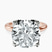 Pre-Designed 18kt Rose Gold Mabel Petal Solitaire Lab Diamond Ring