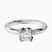 Pre-Designed 14kt White Gold Mabel Petal Solitaire Lab Diamond Ring