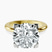 Pre-Designed 10kt Yellow Gold Cordelia Knife Edge Solitaire Lab Diamond Ring