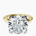 Pre-Designed 10kt Yellow Gold Cordelia Knife Edge Solitaire Lab Diamond Ring