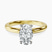 Pre-Designed 14kt Yellow Gold Matilda Leaf Petal Solitaire Lab Diamond Ring