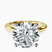 Pre-Designed 14kt Yellow Gold Matilda Leaf Petal Solitaire Lab Diamond Ring