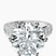 Pre-Designed Platinum Regalia Milgrain Lab Diamond Ring