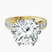 Pre-Designed 18kt Yellow Gold Regalia Milgrain Lab Diamond Ring