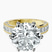 Pre-Designed 10kt Yellow Gold Regalia Milgrain Lab Diamond Ring