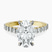 Pre-Designed 14kt Yellow Gold Austria Cathedral Lab Diamond Ring