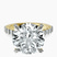 Pre-Designed 10kt Yellow Gold Austria Cathedral Lab Diamond Ring