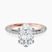 Adele Secret Double Halo Lab Diamond Engagement Ring in 10kt Rose Gold