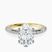 Adele Secret Double Halo Lab Diamond Engagement Ring in 10kt Yellow Gold