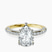 14kt Yellow Gold Adele Secret Double Halo Lab Diamond Ring