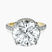 Pre-Designed 10kt Yellow Gold Cleopatra Halo Lab Diamond Ring