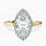 Pre-Designed 18kt Yellow Gold Harriet Halo 2mm Lab Diamond Ring