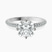 Pre-Designed Platinum Eloa Secret Halo Lab Diamond Ring