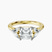 Beatrice Marquise Side Stone Lab Diamond Engagement Ring in 10kt Yellow Gold