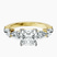 Frances Side Stone Lab Diamond Engagement Ring in 14ct Yellow Gold
