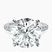 Pre-Designed 14kt White Gold Lottie Four Claw Side Stone Lab Diamond Ring