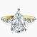 Pre-Designed 14kt Yellow Gold Pamela Eternity Side Stone Lab Diamond Ring