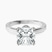 Pre-Designed Platinum Ember Secret Halo Lab Diamond Ring