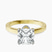 Ember Secret Halo Lab Diamond Engagement Ring in 10kt Yellow Gold