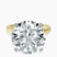 Pre-Designed 10kt Yellow Gold Ember Secret Halo Lab Diamond Ring