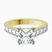 Irene Side Stone Lab Diamond Engagement Ring in 10kt Yellow Gold