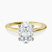 Pre-Designed 10kt Yellow Gold Teagan Solitaire 1.5mm Lab Diamond Ring