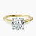 10kt Yellow Gold Teagan Solitaire 1.5mm Lab Diamond Ring