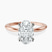 Pre-Designed 18kt Rose Gold Azalea Classic Solitaire 1.5mm Lab Diamond Ring