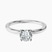 Pre-Designed 14kt White Gold Four Prong Solitaire 1.5mm Lab Diamond Ring