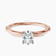 Pre-Designed 14kt Rose Gold Six Prong Solitaire 1.5mm Lab Diamond Ring
