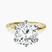 Pre-Designed 14kt Yellow Gold Six Prong Solitaire 1.5mm Lab Diamond Ring