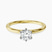 Pre-Designed 10kt Yellow Gold Six Prong Solitaire 1.5mm Lab Diamond Ring
