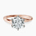 Pre-Designed 18kt Rose Gold Seraphina Twist Prongs Solitaire 1.5mm Lab Diamond Ring