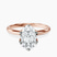 Blooming Petal Secret Halo Lab Diamond Engagement Ring in 18ct Rose Gold
