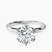 Blooming Petal Secret Halo Lab Diamond Engagement Ring in 9ct White Gold