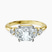 Amore Side Stone Lab Diamond Engagement Ring in 10kt Yellow Gold