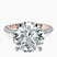 Pre-Designed 14kt Rose Gold Grace Micro pavé Eternity Lab Diamond Ring