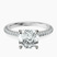Pre-Designed 10kt White Gold Grace Micro pavé Eternity Lab Diamond Ring