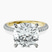 Pre-Designed 14kt Yellow Gold Grace Micro pavé Eternity Lab Diamond Ring
