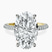 Pre-Designed 14kt Yellow Gold Grace Micro pavé Eternity Lab Diamond Ring