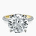Pre-Designed 18kt Yellow Gold Grace Micro pavé Eternity Lab Diamond Ring