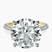 Pre-Designed 14kt Yellow Gold Grace Micro pavé Eternity Lab Diamond Ring