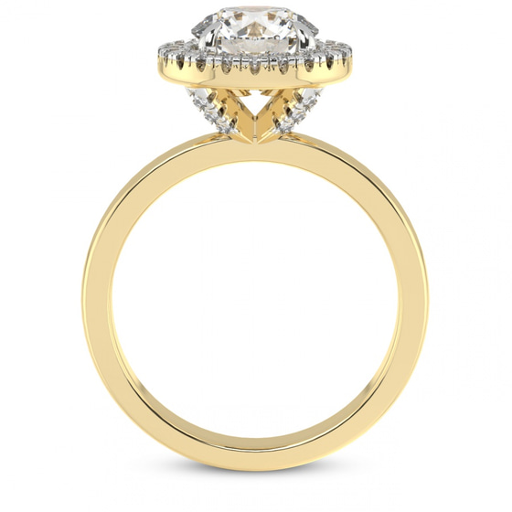 Anna Hidden Accents Halo Lab Diamond Ring