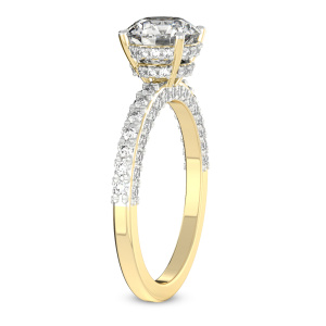Atria Secret Double Halo Lab Diamond Ring left view