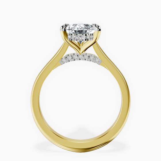 Elsa Hidden Accents Solitaire Lab Diamond Ring left view