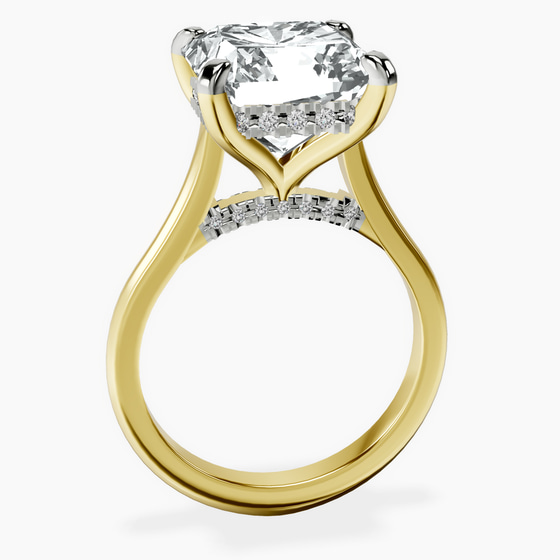 Elsa Hidden Accents Solitaire Lab Diamond Ring left view