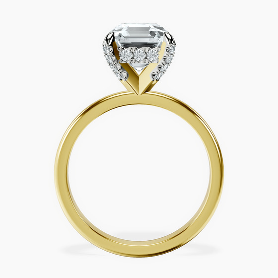Lyla Hidden Accents Solitaire Lab Diamond Ring left view