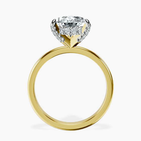 Lyla Hidden Accents Solitaire Lab Diamond Ring left view