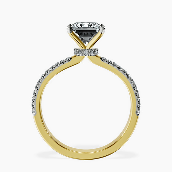 Etienne Secret Halo Lab Diamond Ring left view